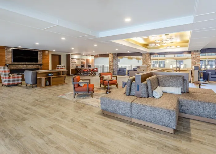 Holiday Inn Downtown By Ihg